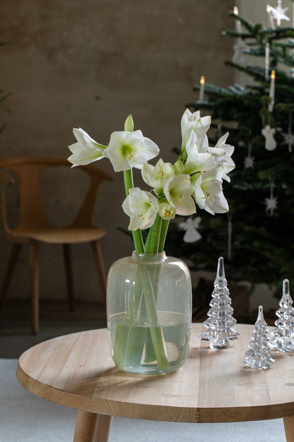 Hvit amaryllis
